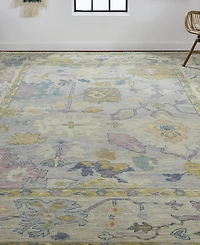 Feizy Karina R6791 2' x 3' Area Rug