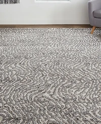 Feizy Vancouver R39FJ 4' x 6' Area Rug
