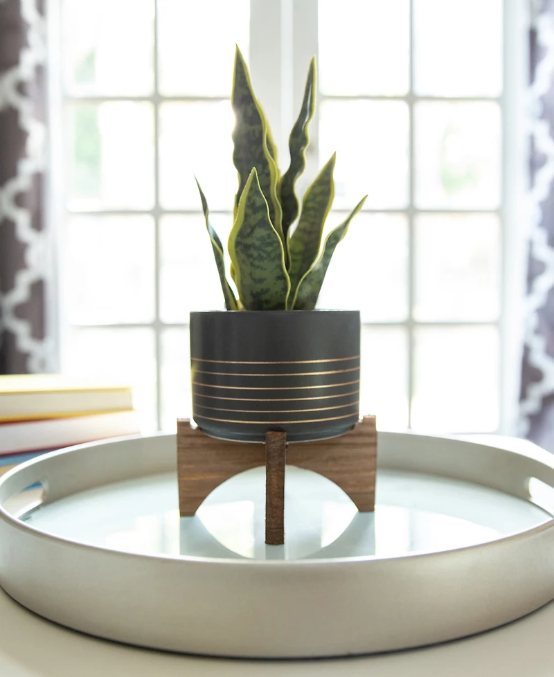 Flora Bunda Ceramic Planter on Wood Stand, 5.5"