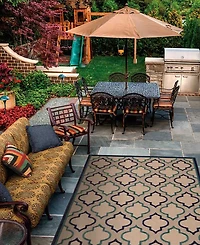 Nourison Home Aloha ALH06 3'6" x 5'6" Outdoor Area Rug