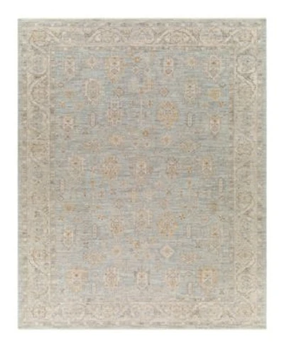 Livabliss Avant Garde Avt 2344 Area Rugs