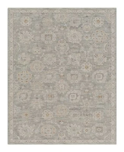 Livabliss Avant Garde Avt 2335 Area Rugs
