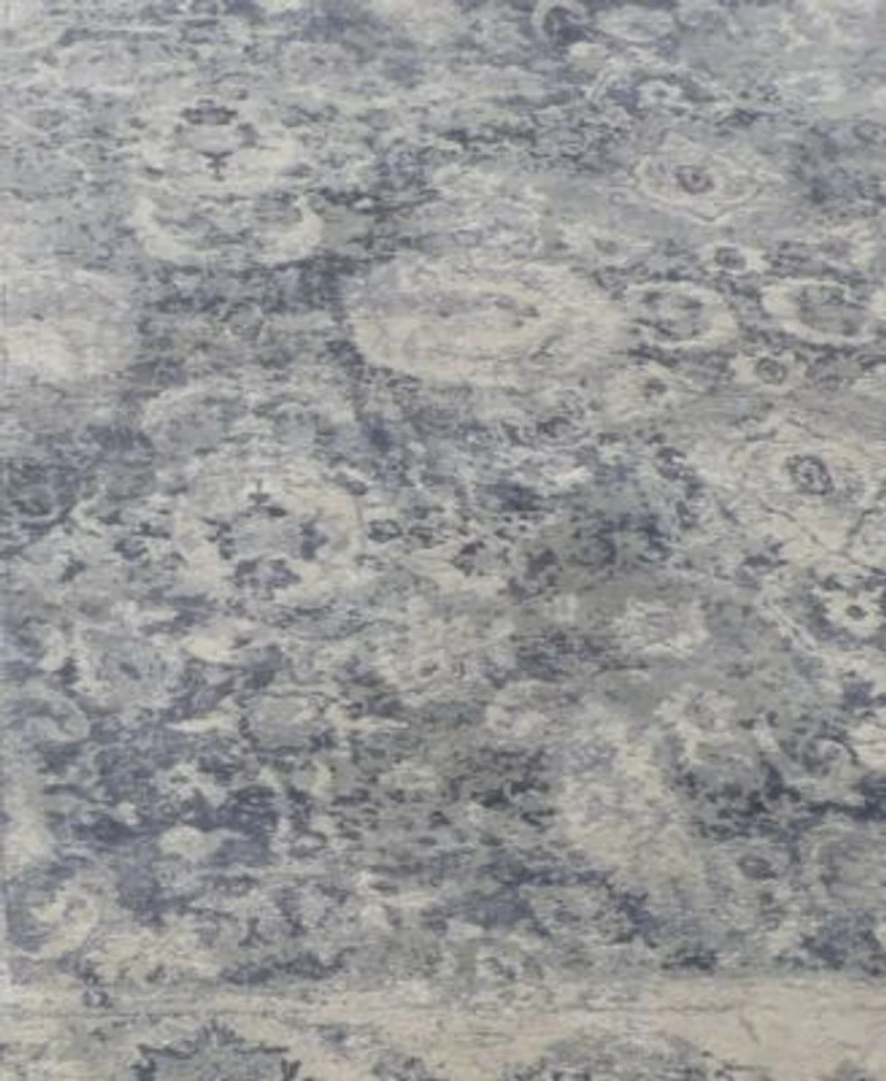 Exquisite Rugs Cassina Er3902 Area Rug