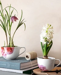 Villeroy & Boch Rose Garden Coffee Cup