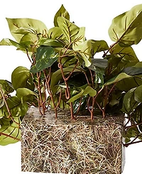 Nearly Natural Pothos Artificial Ledge Plant