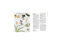 Body into Balance: An Herbal Guide to Holistic Self-Care by Maria Noel Groves