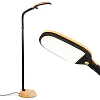 Litespan 53" Dimmable Led Reading Task Lamp with Height Adjustable Gooseneck Head