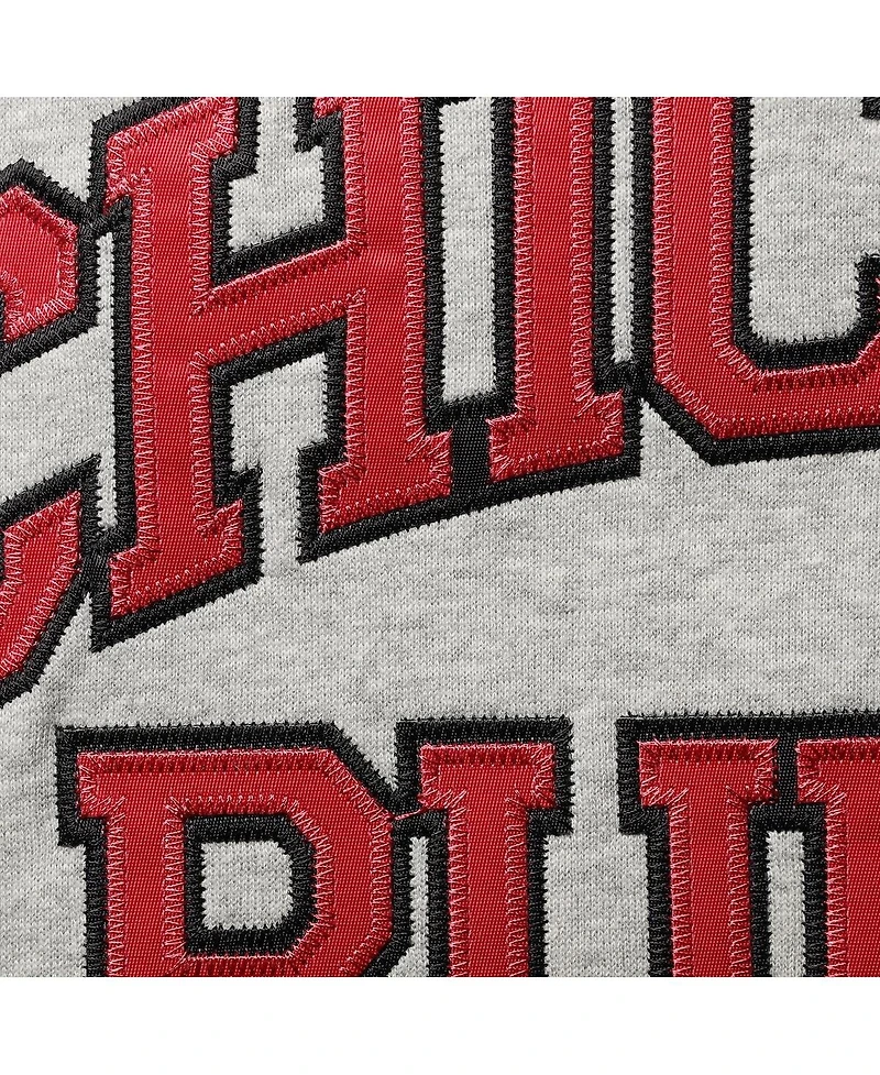 Men's Mitchell & Ness Dennis Rodman Heathered Gray Chicago Bulls Big and Tall Name Number Pullover Hoodie