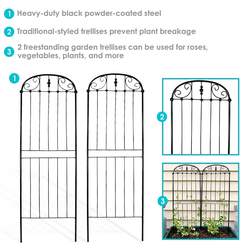 Metal Wire Traditional Garden Trellis for Climbing Plants and Flowers - 32" H - Black - 2-Pack