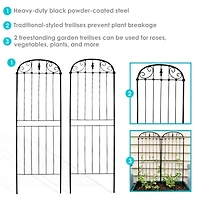 Metal Wire Traditional Garden Trellis for Climbing Plants and Flowers - 32" H - Black - 2-Pack