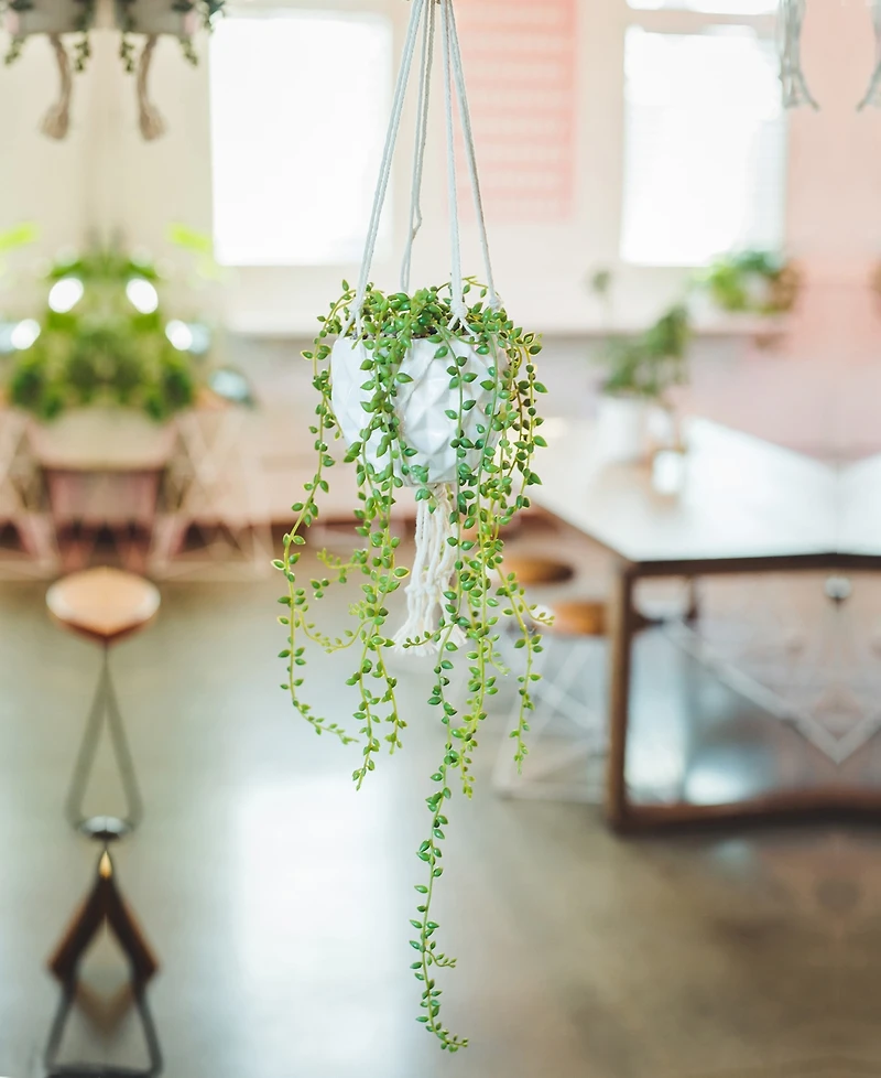 Flora Bunda String of Pearls Macrame Hanging Ceramic Pot Donkey Tails, 4"