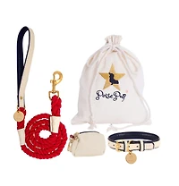 PoisePup Pet Dog 5ft Long Leash - Hot Marine