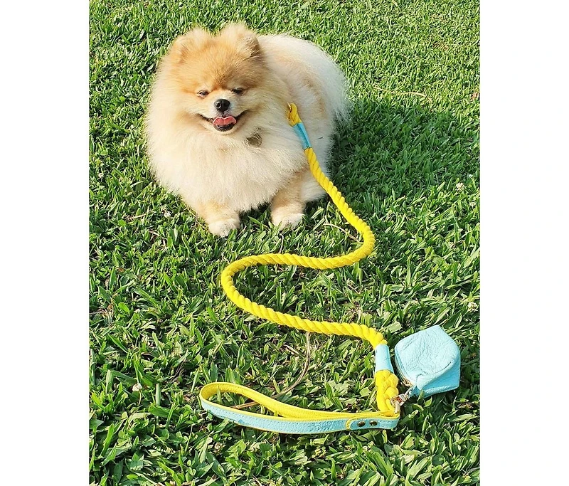 PoisePup Pet Dog Waste Bag Holder - Sunshine Babe