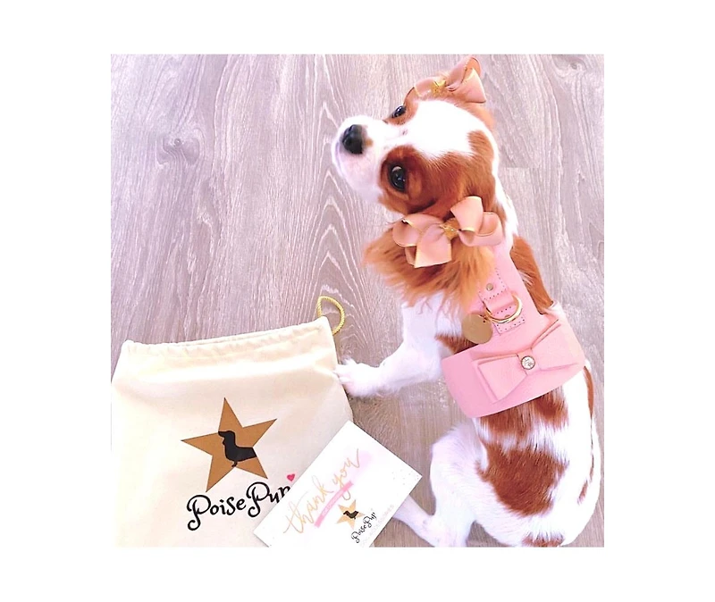 PoisePup Pet Dog Harness - Bella Rose