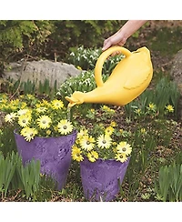 Novelty Character Plastic Watering Can, Yellow Duck, 1 Gallon