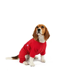 Leveret Dog Cotton Pajama Snowflake