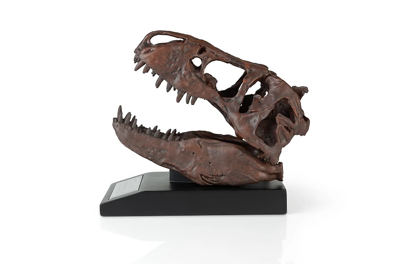 Master Replicas The Nation's T-Rex Skull Statue | Smithsonian Fossil Replica | 6-Inch Tall Tyrannosaurus Rex Desk Statue | 1:10 Scale