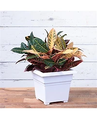 Novelty Countryside Square Tub Planter White 14 Inch