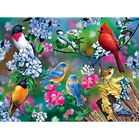 Masterpieces Audubon Songbird Collage 300 Piece Ez Grip Jigsaw Puzzle