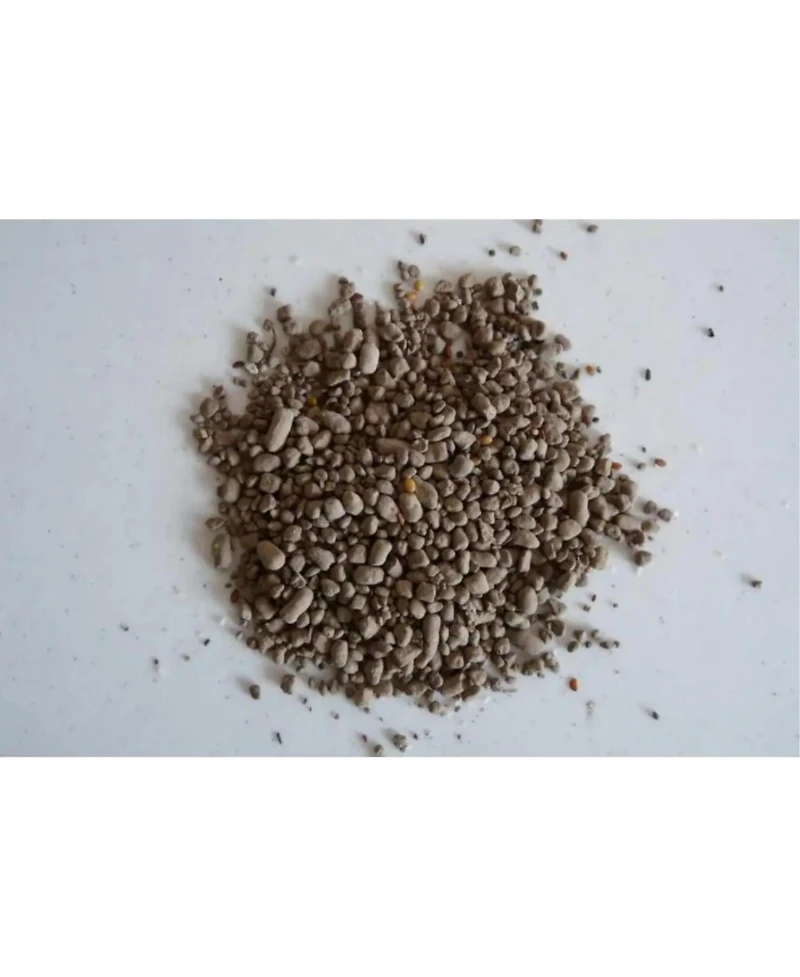 Earth Science Grown Essentials Bouquet Wild Flower Mix - 2lb bag