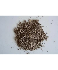 Earth Science Grown Essentials Bouquet Wild Flower Mix - 2lb bag