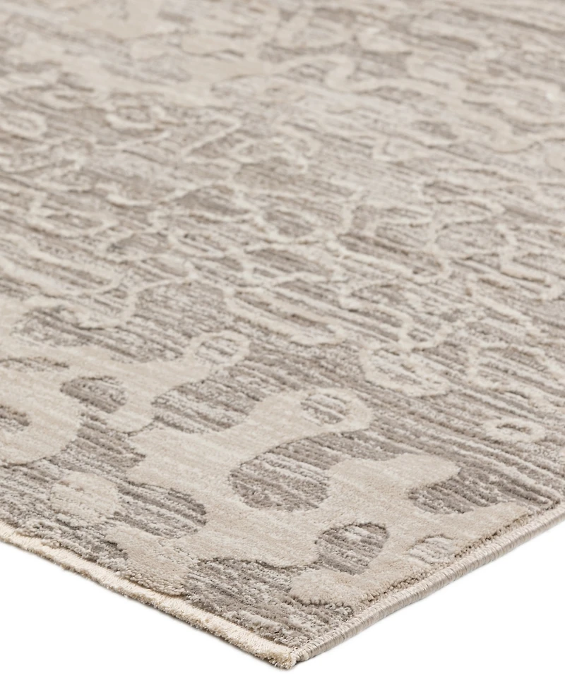 Dalyn Denizi DZ6 3'3" x 5'3" Area Rug