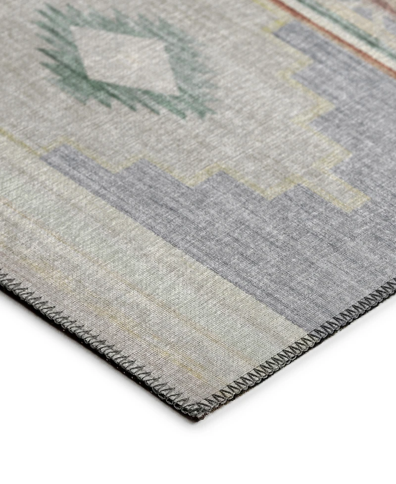 Dalyn Phoenix Washable PH1 8' x 10' Area Rug