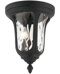 Livex Oxford 2 Light Outdoor Ceiling Mount