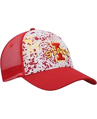 Men's Colosseum Gray, Cardinal Iowa State Cyclones Love Fern Trucker Snapback Hat