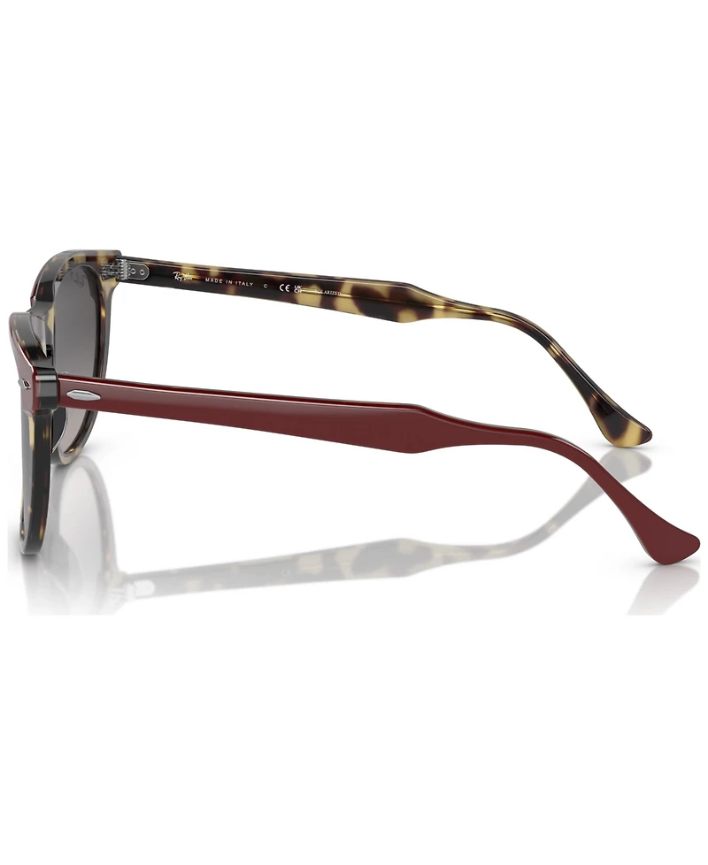 Ray-Ban Unisex Eagle Eye Polarized Sunglasses, RB239853-yp 53