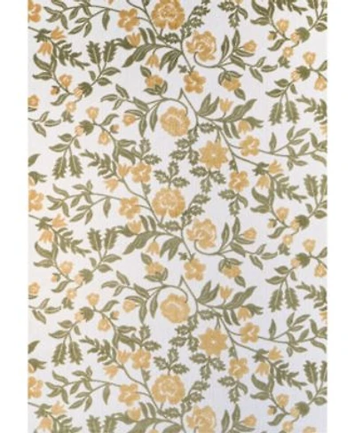Bashian Gallery Outdoor Gly110 Area Rug