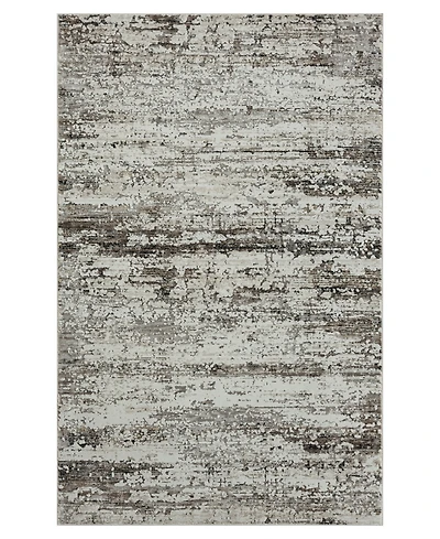 Lr Home Bienne BIENA286 5' x 7'11" Area Rug