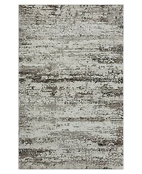 Lr Home Bienne BIENA286 5' x 7'11" Area Rug