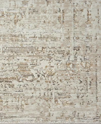 Lr Home Bienne BIENA284 7'9" x 9'9" Area Rug