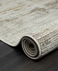 Lr Home Bienne BIENA288 4' x 6' Area Rug