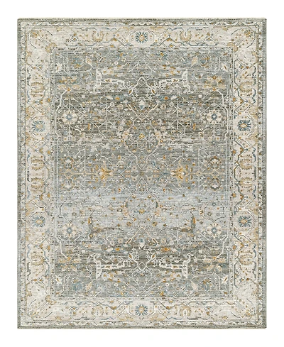 Livabliss Dresden Dre-2310 2'7" x 4' Area Rug