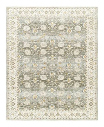 Livabliss Dresden Dre 2312 Area Rug