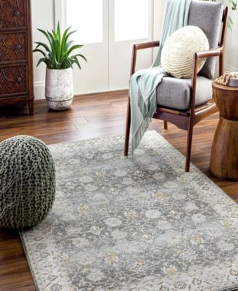 Livabliss Dresden Dre 2312 Area Rug