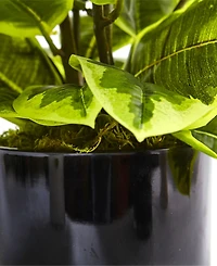 Nearly Natural Artificial Rubber Plant in Glossy Cylinder - Real Touch