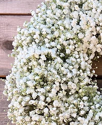 GreenishBlu Fresh Real Babies Breath Spring Wreath
