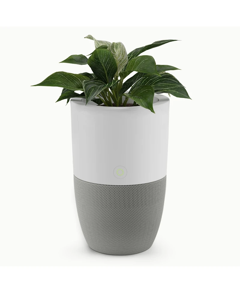 Dupray Bloom Air Purifier, Smart Hepa-13 Medical-Grade Filtration, Large Rooms (1,517 Sq. Ft.) with Integrated Planter