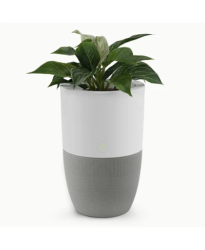 Dupray Bloom Air Purifier, Smart Hepa-13 Medical-Grade Filtration, Large Rooms (1,517 Sq. Ft.) with Integrated Planter