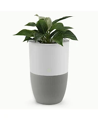 Dupray Bloom Air Purifier, Smart Hepa-13 Medical-Grade Filtration, Large Rooms (1,517 Sq. Ft.) with Integrated Planter