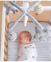 Living Textiles Baby Boys Airplanes Musical Mobile