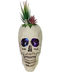 8.75" Led Lighted Succulent Halloween Skull Planter