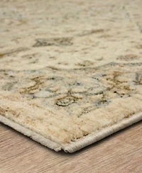 Karastan Divina Gloriana Area Rug