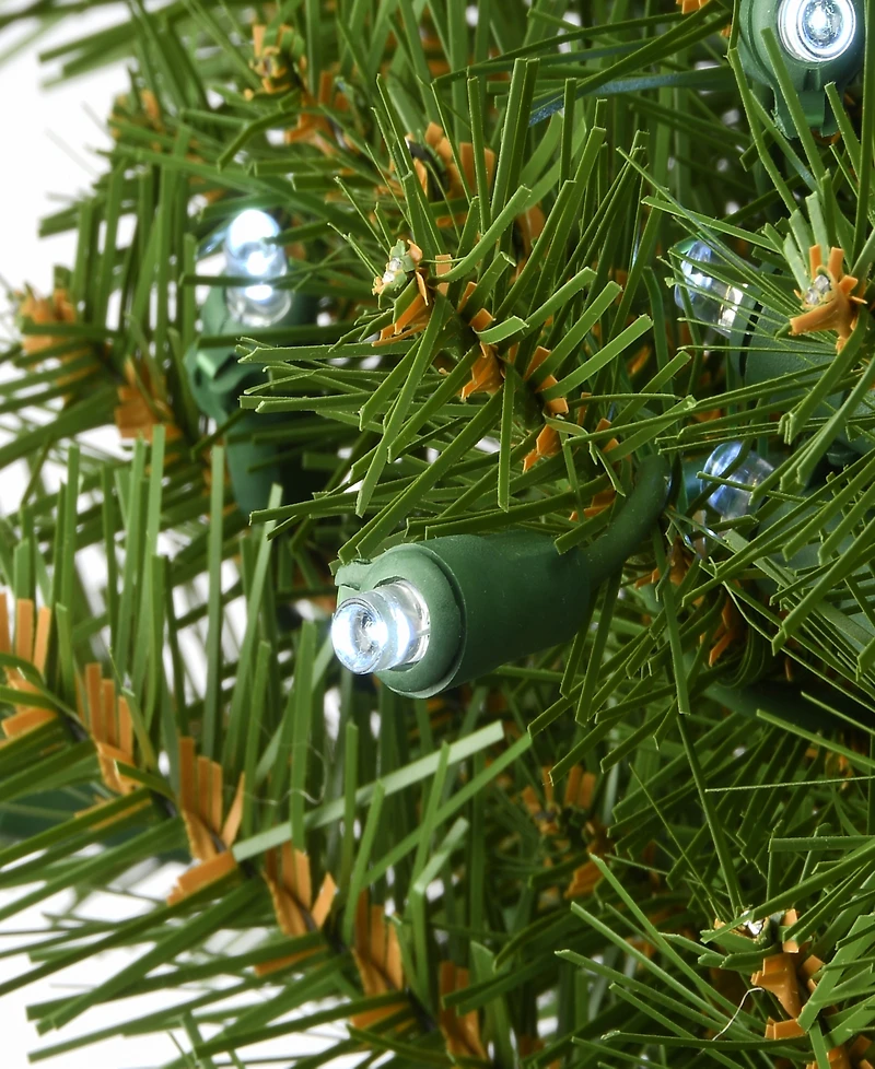 National Tree Company 30" Memory-Shape Norwood Fir Wreath with Led Lights