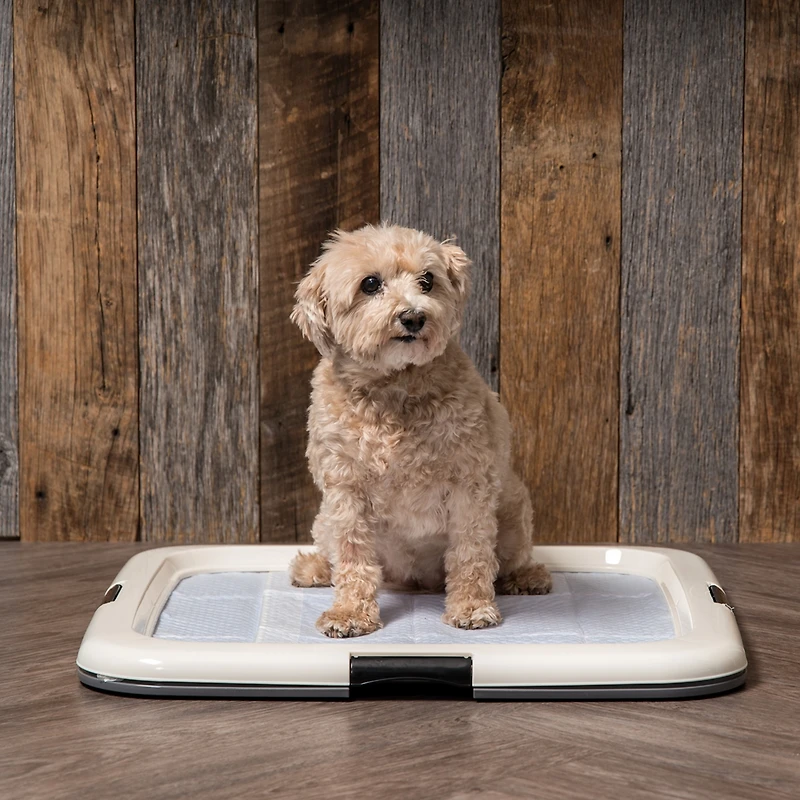 Pee Pads Square Pet Training Pad Holder for Dogs, Dark Gray