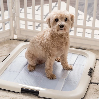 Pee Pads Square Pet Training Pad Holder for Dogs, Dark Gray