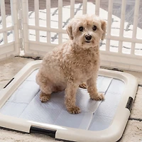 Pee Pads Square Pet Training Pad Holder for Dogs, Dark Gray